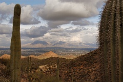 Catalinas from Wasson Trail